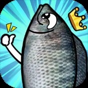 小鱼儿玄机2站140期3O码官方版